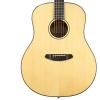 Breedlove DISCOVERY-DR Discovery Dreadnought Acoustic Guitar with Strap, Stand, Picks, Tuner, Cloth and Bag #2 small image