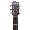 Breedlove DISCOVERY-DR Discovery Dreadnought Acoustic Guitar with Strap, Stand, Picks, Tuner, Cloth and Bag