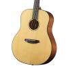 Breedlove Discovery Dreadnought Acoustic Guitar with ChromaCast 12 Pick Sampler and Breedlove Gig Bag