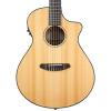 Breedlove PURSUIT-NY Pursuit Nylon Acoustic-Electric Guitar with Strap, Stand, Picks, Tuner, Cloth and Gig Bag #2 small image