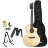 Breedlove PURSUIT-12 Pursuit 12 String Acoustic-Electric Guitar with Strap, Stand, Picks, Tuner, Cloth and Gig Bag #1 small image