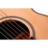 Seagull Artist Peppino CW QII Acoustic Electric Guitar #3 small image