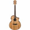 Ibanez Exotic Wood AEW40ZWNT A/E Zebrawood Guitar w/Tweed Hard Case &amp; More