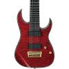 Iron Label RGIX28 8-String Electric Guitar #1 small image