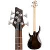 Rogue LX405 Series III Pro 5-String Electric Bass Guitar Transparent Black #4 small image