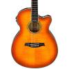 Ibanez AEG20II Flamed Sycamore Top Cutaway Acoustic-Electric Guitar Vintage Violin #1 small image
