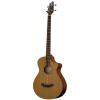 Breedlove Atlas Solo BJ350/CM4 Acoustic Electric Bass #1 small image