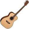 Washburn WF5K Apprentice 5 Acoustic Folk Guitar w/ Case #2 small image
