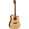 Washburn WD20 Series WD20SCE Acoustic Electric Guitar #1 small image