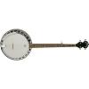 Washburn  B11K Banjo (5 String) #1 small image