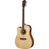 Washburn WD10 Series WD10SCELH Acoustic Guitar #1 small image