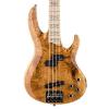 ESP RB-1004 - Burled Maple  Honey Natural #3 small image