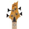 ESP RB-1004 - Burled Maple  Honey Natural #4 small image