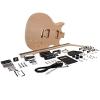 Seismic Audio - SADIYG-11 - Premium PRS Style DIY Electric Guitar Kit - Unfinished Luthier Project Kit #1 small image