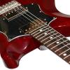 PRS D2TD03VC S2 Standard 22 Vintage Cherry Electric Guitar with Gig Bag, Stand, Tuner, Picks, Cable, Strap, Cloth, Polish and Cleaner #6 small image