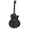 Schecter 3700 Synyster Gates-AC GA SC-Acoustic Guitar #2 small image