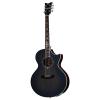 Schecter 3701 Synyster Gates-GA SC-Acoustic Guitar #2 small image