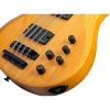 Schecter Guitar Research Riot-8 Session 8-String Electric Bass Satin Aged Natural #5 small image