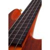 Schecter Stiletto Studio-4 Fretless Electric Bass (4 String, Honey Satin) #6 small image