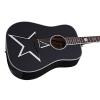 Schecter 283 Acoustic-Electric Guitar, Gloss Black #2 small image