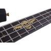 Schecter 213 4-String Johnny Christ Signature Artist Series Bass Guitar