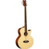 Ortega Guitars D1-5 Deep Series One 5-String Acoustic Bass with Solid Spruce Top and Mahogany Body, Gloss #1 small image