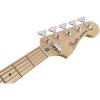 Fender Deluxe Dimension Bass V, Maple Fingerboard, Natural #6 small image