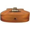 Goldtone M Bass Microbass Short-Scaled Acoustic Electric Bass w/Bag #3 small image