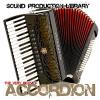 HARP PLATINUM Collection - HUGE 24bit Multi-Layer Samples Sound Library and Production tools 4,47GB on DVD #2 small image
