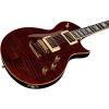 ESP Limited Edition 40th Anniversary Eclipse Electric Guitar Tiger Eye #4 small image