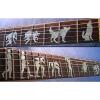 Fretboard Markers Inlay Sticker Decals for Guitar- Werewolf