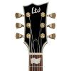 ESP LTD EC-256 Black With ESP Gig Bag and Guitar Vault Accessory Pack (LEC256BLK)