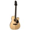 Samick Music G Series 100 GD112SCE Dreadnought 12-String Acoustic-Electric Guitar, Natural #1 small image
