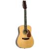 JB Player JB20-12 12 String Acoustic Guitar #1 small image