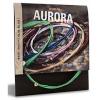 Aurora Strings AUR.NTRO.ORN.A12 Aurora Acoustic 12 Guitar Strings - Nitro Orange