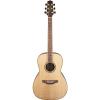 Takamine GY93-NAT New Yorker Acoustic Guitar, Natural #1 small image