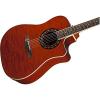 Fender T-Bucket 300-CE A/E Guitar Amber Quilt Cutaway w/Effin Strings plus More #5 small image