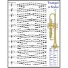 TRUMPET 12 SCALES CHART #1 small image