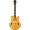 Ibanez PM2 Pat Metheny Signature Hollowbody Electric Guitar - Antique Amber Aged Amber