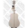 Oscar Schmidt Dreadnought White Spruce Top Acoustic Guitar FREE STRAP TUNER #6 small image
