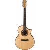 Ibanez Exotic Wood AEW23ZW-NT Acoustic-Electric Guitar w/Effin Strings &amp; More #2 small image