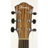 Ibanez Exotic Wood AEW23ZW-NT Acoustic-Electric Guitar w/Effin Strings &amp; More #4 small image
