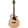 Ibanez Exotic Wood AEW22CD-NT Acoustic-Electric Guitar wTweed Hard Case &amp; More