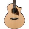 Ibanez Exotic Wood AEW22CD-NT Acoustic-Electric Guitar wTweed Hard Case &amp; More #3 small image