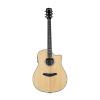 Breedlove Stage Dreadnought Solid Spruce Top A/E Guitar w/Strings, Tuner &amp; More #2 small image