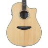 Breedlove Stage Dreadnought Solid Spruce Top A/E Guitar w/Strings, Tuner &amp; More #3 small image
