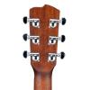 Breedlove Stage Dreadnought Solid Spruce Top A/E Guitar w/Strings, Tuner &amp; More