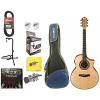 Ibanez Exotic Wood AEW23ZW-NT Acoustic-Electric Guitar w/Gig Bag &amp; More #1 small image