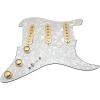HDCustom Guitar Supply Loaded Pickguard for Stratocaster with DiMarzio True Velvet Pickups, Mojo Blend Pot, Aged Pearl/Gold #1 small image
