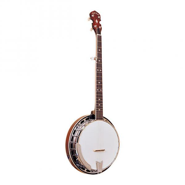 Custom Gold Tone BG-250F Bluegrass Banjo with Flange #1 image